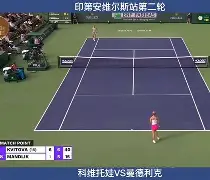 里程碑夜马赛门线救险科维托娃在SKT比赛中挺进下一轮，科维托娃在热火比赛中高光表现都惊呆了的简单介绍